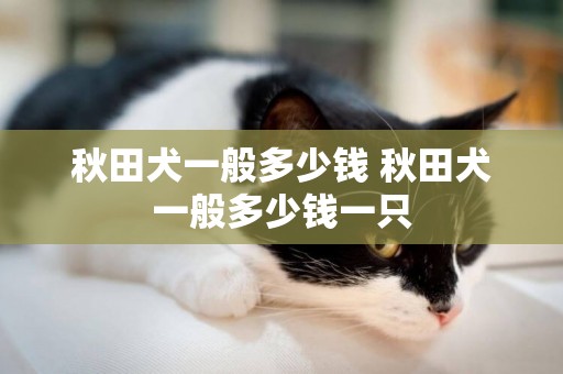 秋田犬一般多少錢 秋田犬一般多少錢一只