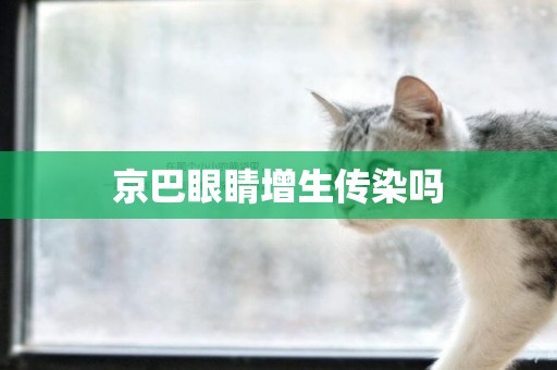 京巴眼睛增生傳染嗎