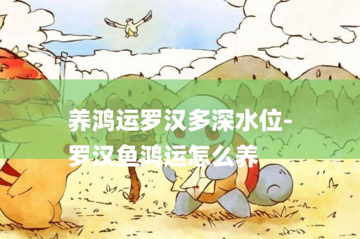養鴻運羅漢多深水位-
羅漢魚鴻運怎么養