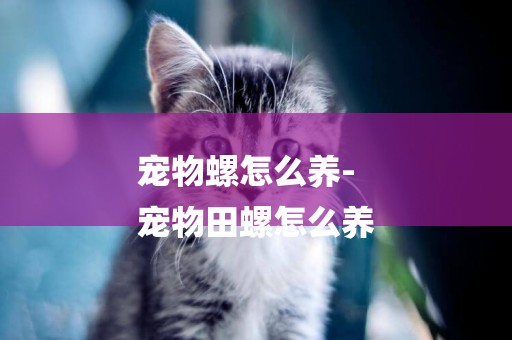寵物螺怎么養-
寵物田螺怎么養