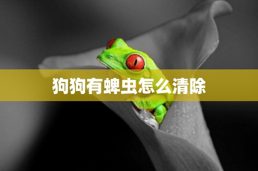狗狗有蜱蟲怎么清除