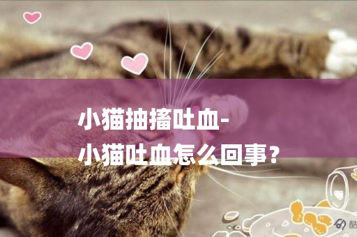 小貓抽搐吐血-
小貓吐血怎么回事？