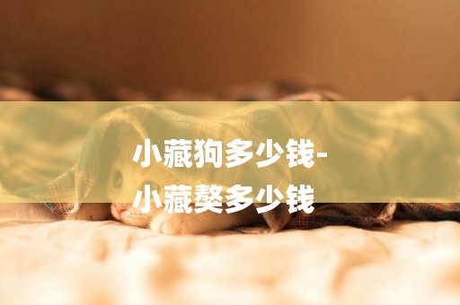 小藏狗多少錢-
小藏獒多少錢