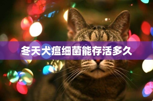 冬天犬瘟細菌能存活多久