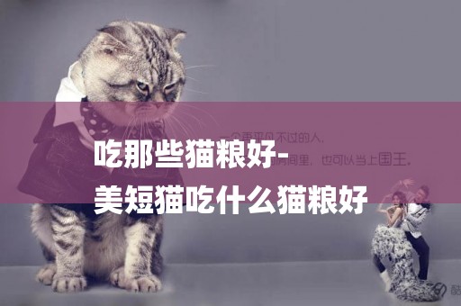 吃那些貓糧好-
美短貓吃什么貓糧好