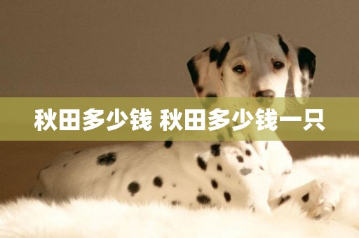 秋田多少錢 秋田多少錢一只