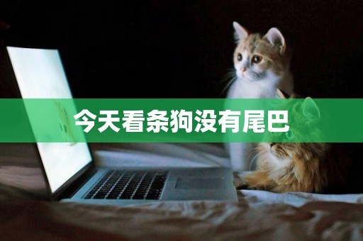 今天看條狗沒有尾巴