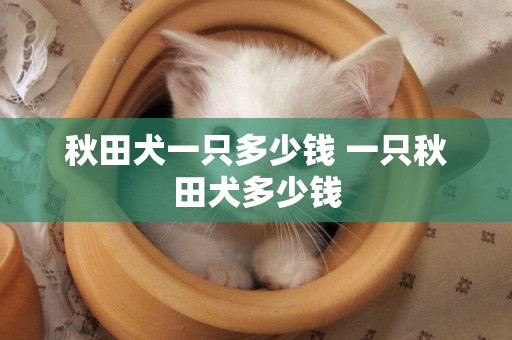 秋田犬一只多少錢 一只秋田犬多少錢