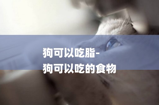 狗可以吃脂-
狗可以吃的食物