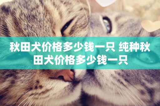 秋田犬價格多少錢一只 純種秋田犬價格多少錢一只