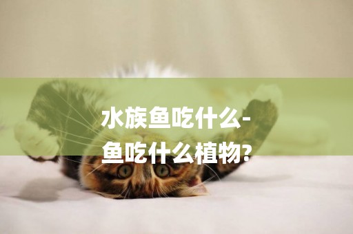 水族魚吃什么-
魚吃什么植物?