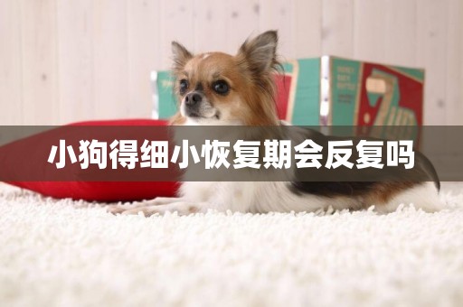 小狗得細小恢復期會反復嗎