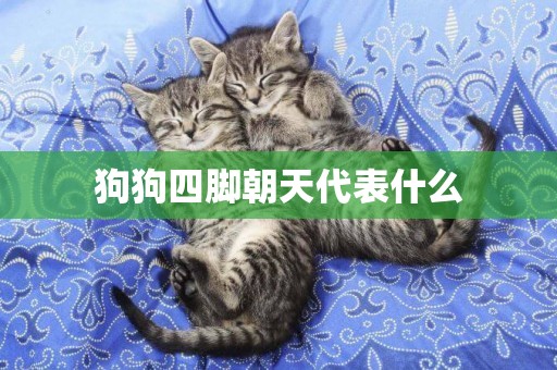 狗狗四腳朝天代表什么