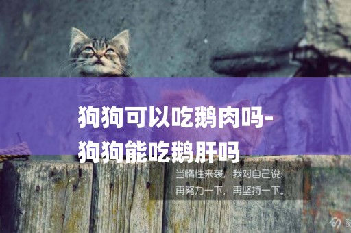 狗狗可以吃鵝肉嗎-
狗狗能吃鵝肝嗎