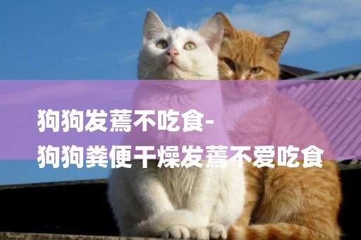 狗狗發蔫不吃食-
狗狗糞便干燥發蔫不愛吃食