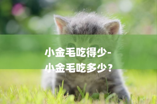 小金毛吃得少-
小金毛吃多少？