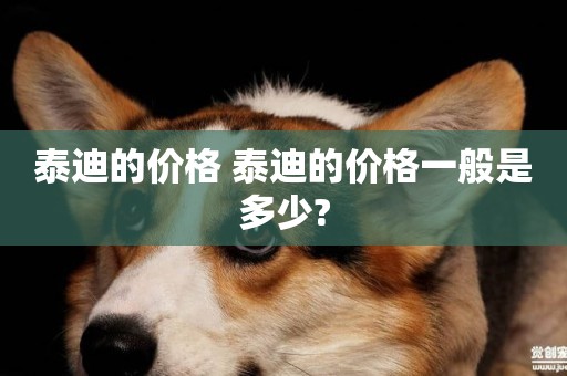 泰迪的價格 泰迪的價格一般是多少?