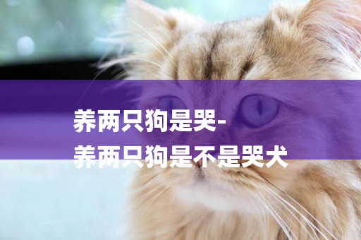 養兩只狗是哭-
養兩只狗是不是哭犬