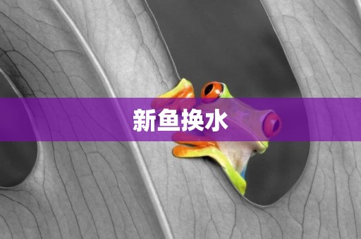 新魚換水