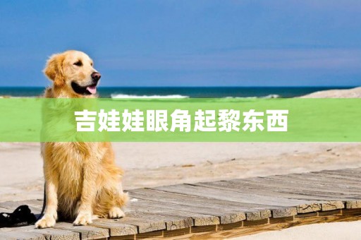 吉娃娃眼角起黎東西