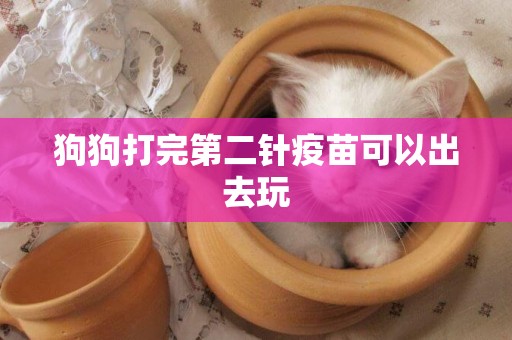 狗狗打完第二針疫苗可以出去玩