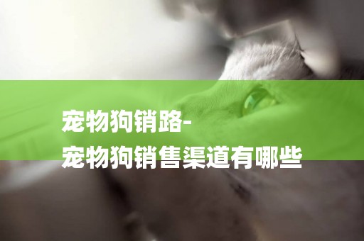 寵物狗銷路-
寵物狗銷售渠道有哪些