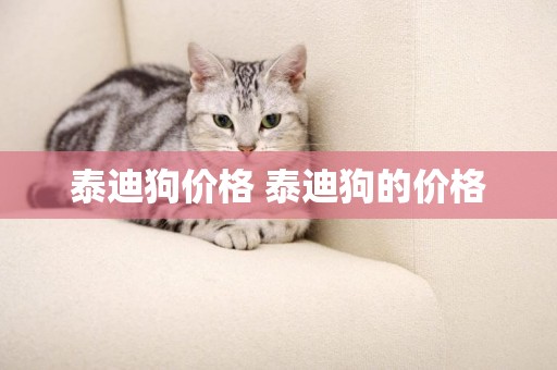 泰迪狗價格 泰迪狗的價格