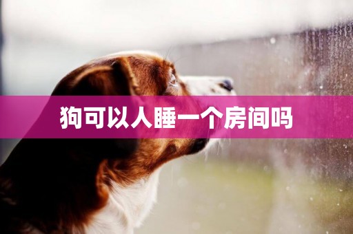狗可以人睡一個房間嗎
