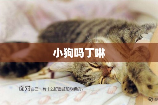 小狗嗎丁啉
