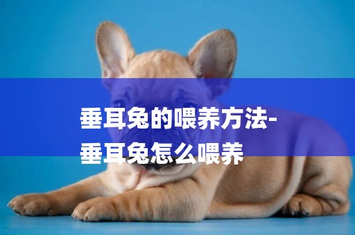 垂耳兔的喂養方法-
垂耳兔怎么喂養
