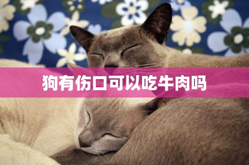 狗有傷口可以吃牛肉嗎