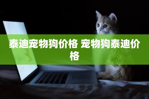 泰迪寵物狗價格 寵物狗泰迪價格