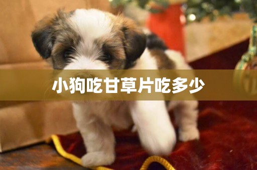 小狗吃甘草片吃多少