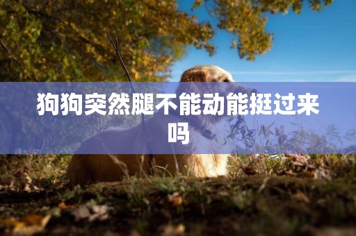 狗狗突然腿不能動能挺過來嗎