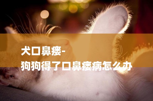 犬口鼻瘺-
狗狗得了口鼻瘺病怎么辦