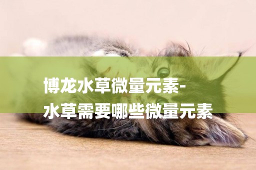博龍水草微量元素-
水草需要哪些微量元素