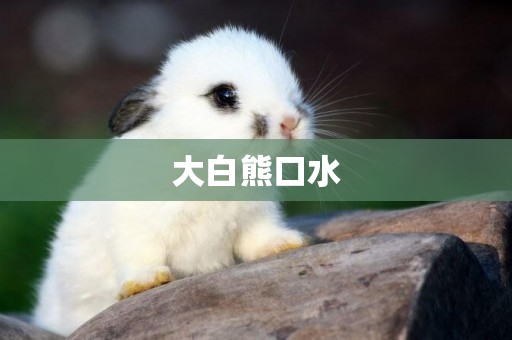 大白熊口水