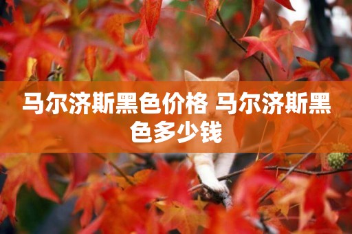 馬爾濟斯黑色價格 馬爾濟斯黑色多少錢