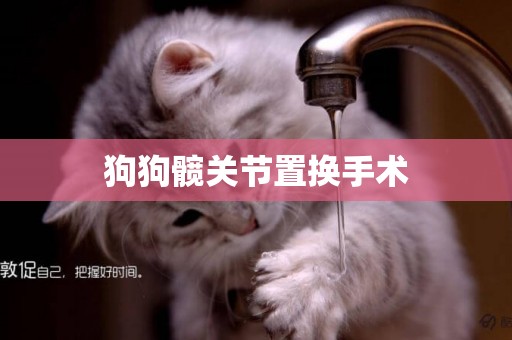 狗狗髖關節置換手術