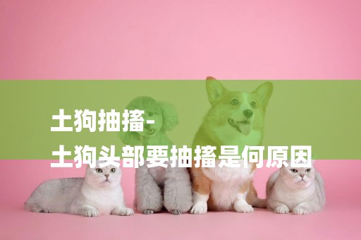 土狗抽搐-
土狗頭部要抽搐是何原因