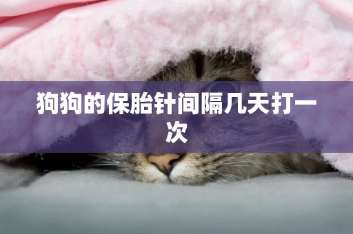 狗狗的保胎針間隔幾天打一次