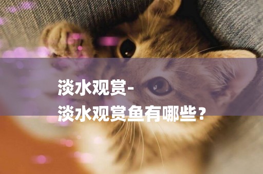 淡水觀賞-
淡水觀賞魚有哪些？