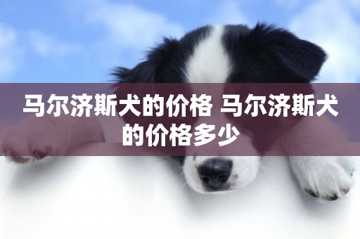 馬爾濟斯犬的價格 馬爾濟斯犬的價格多少