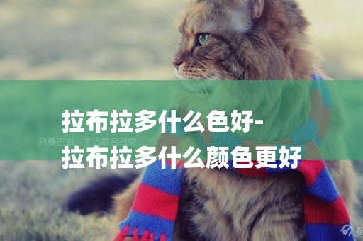 拉布拉多什么色好-
拉布拉多什么顏色更好