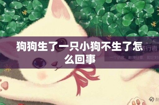 狗狗生了一只小狗不生了怎么回事