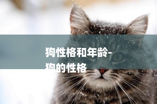 狗性格和年齡-
狗的性格