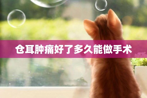 倉耳腫痛好了多久能做手術