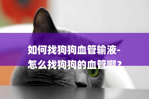 如何找狗狗血管輸液-
怎么找狗狗的血管啊？