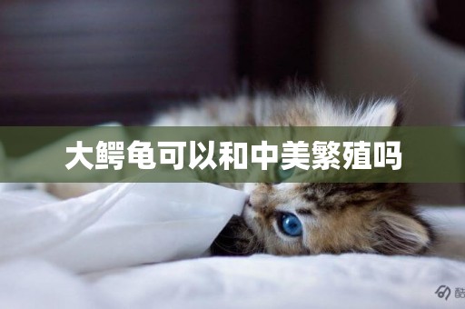 大鱷龜可以和中美繁殖嗎