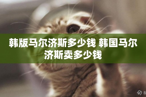 韓版馬爾濟斯多少錢 韓國馬爾濟斯賣多少錢